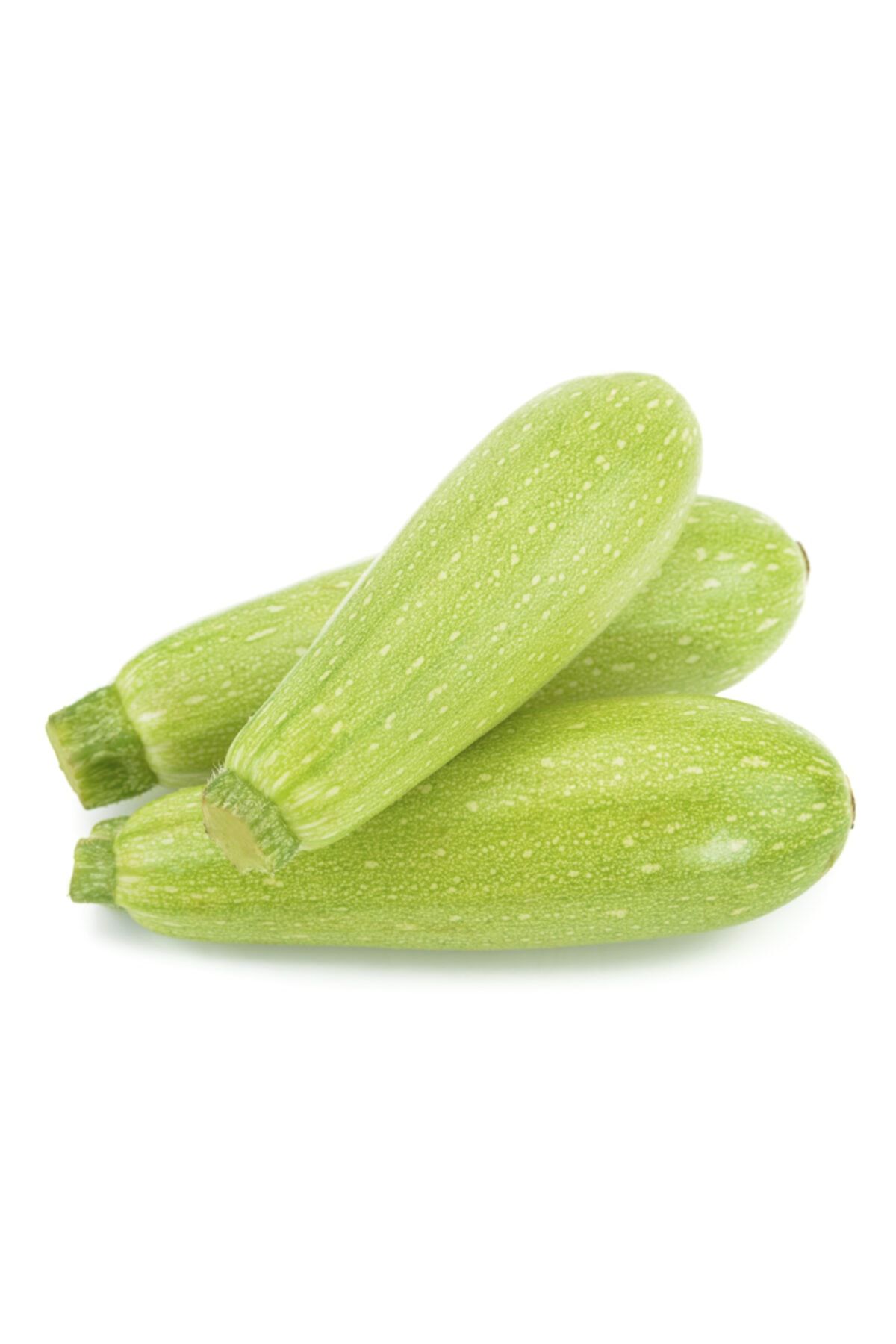 VİTAMİNLİ SEBZELER Kabak Sakız 500 gr