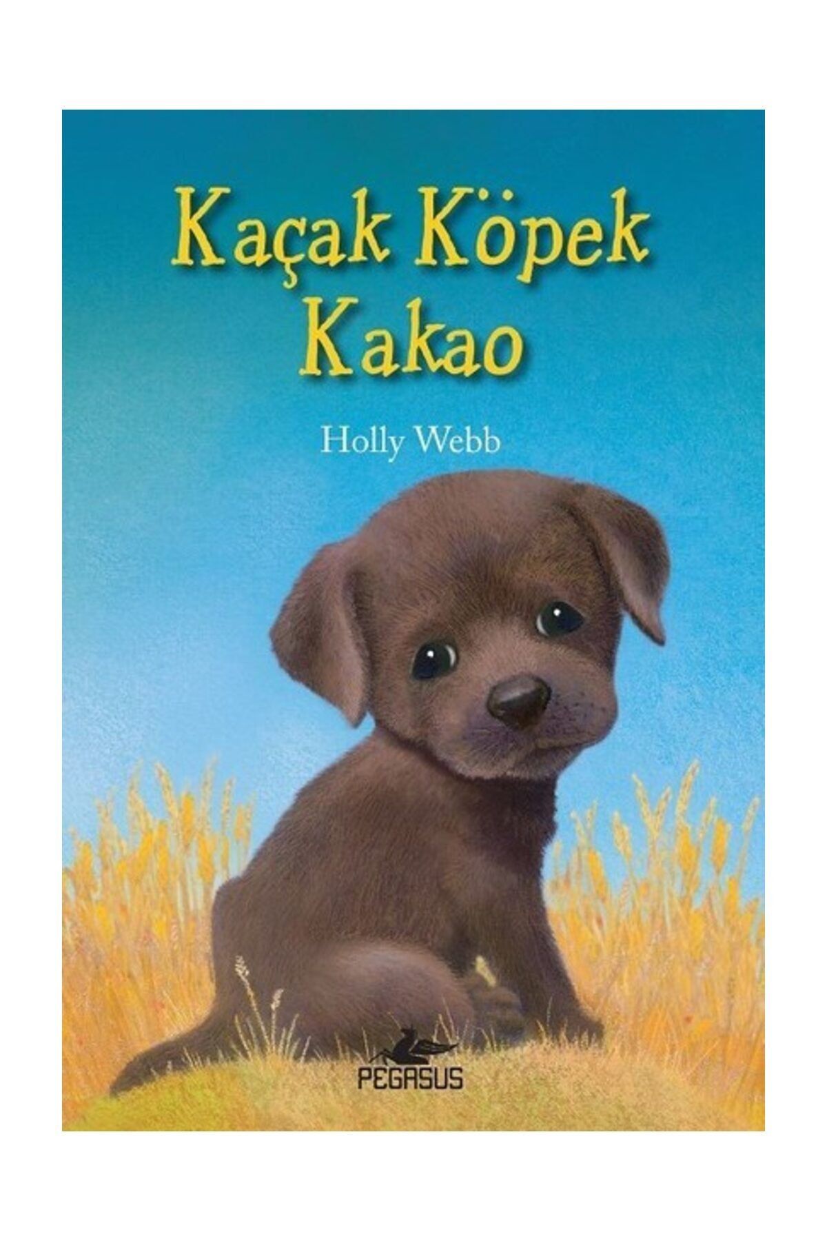 pegasus yayinlari kacak kopek kakao fiyati yorumlari trendyol