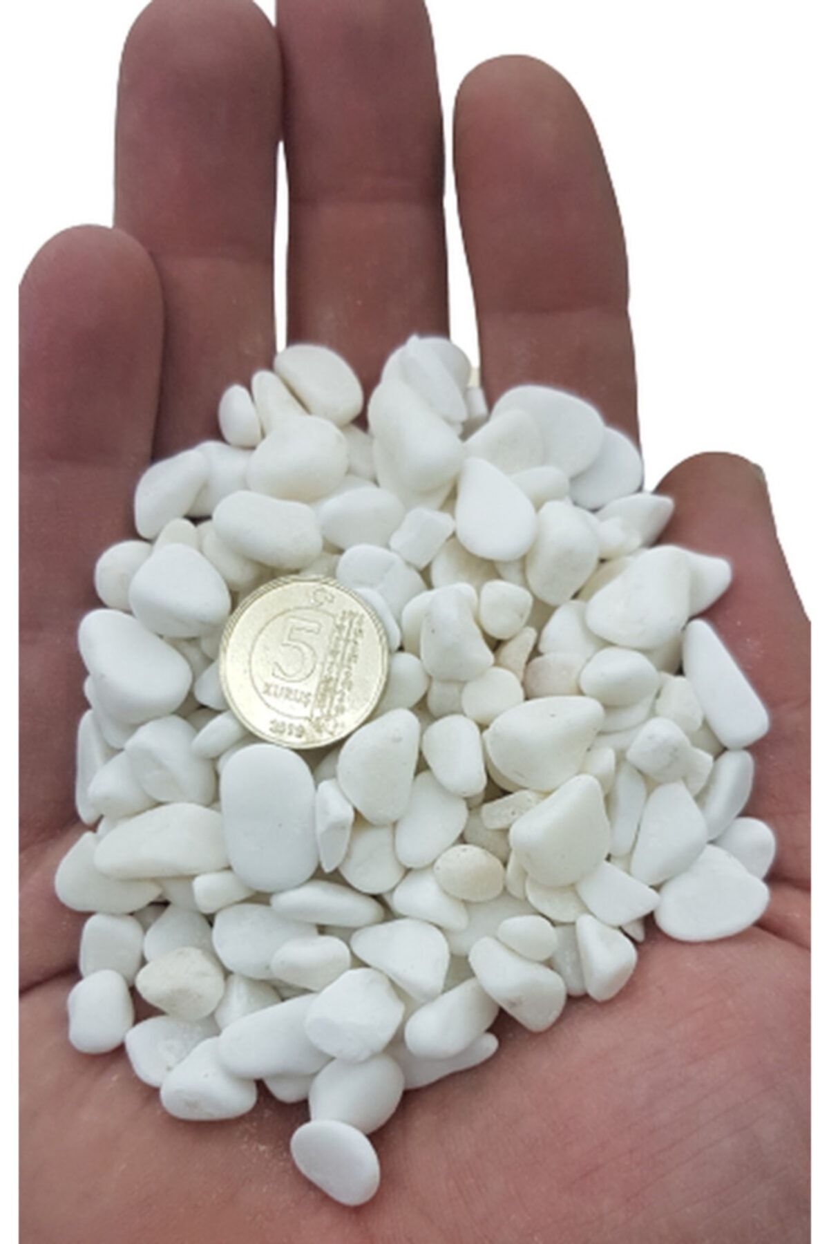 Mevadd 1 Kg Beyaz Dolomit Taş 0.5-1 Cm Akvaryum Taşı,çakıl Taşı Bahçe,saksı Taşı,sukulent,terraryum