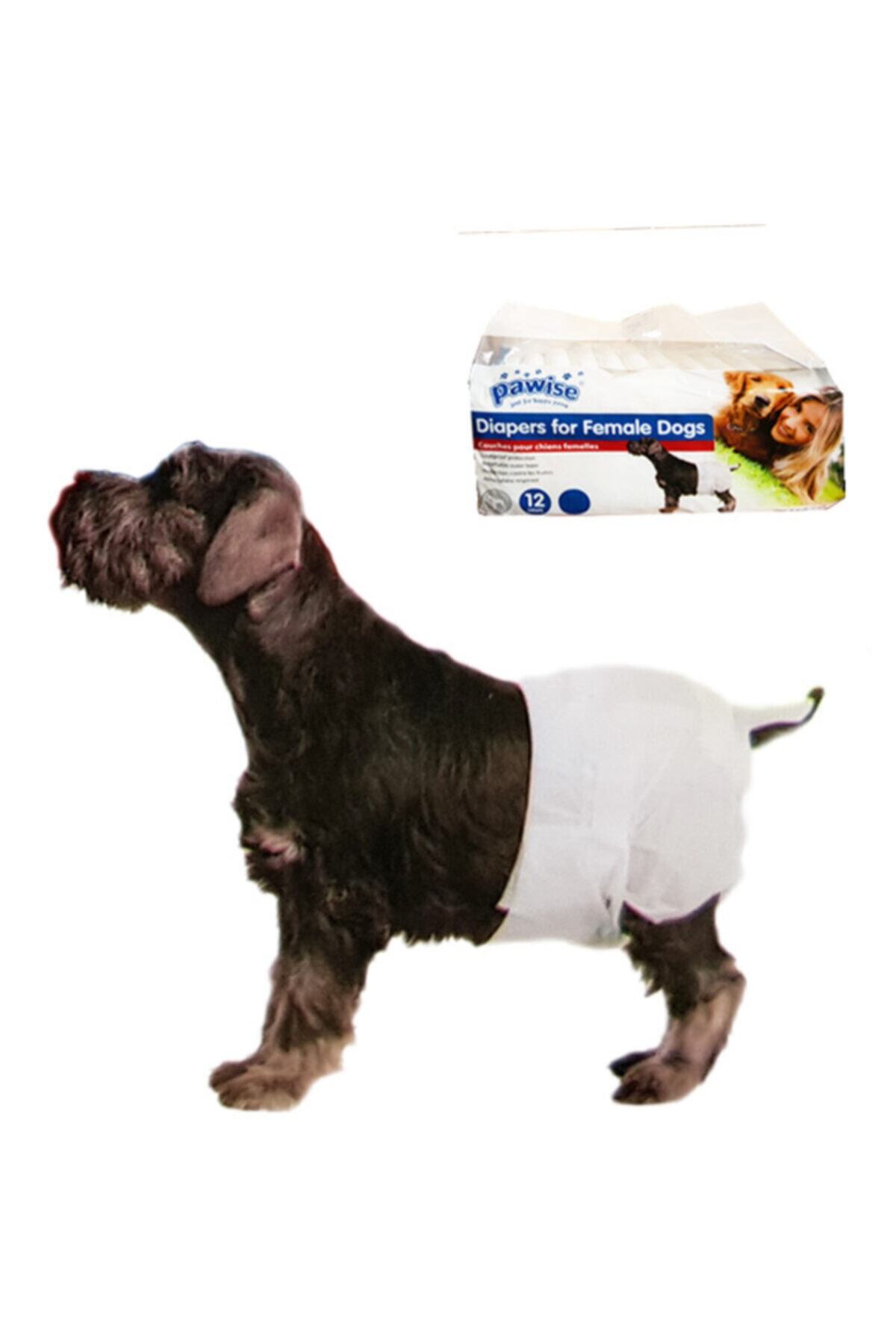 Pawise Köpek Alt Bağlama Bezi S Boy 12 Adet