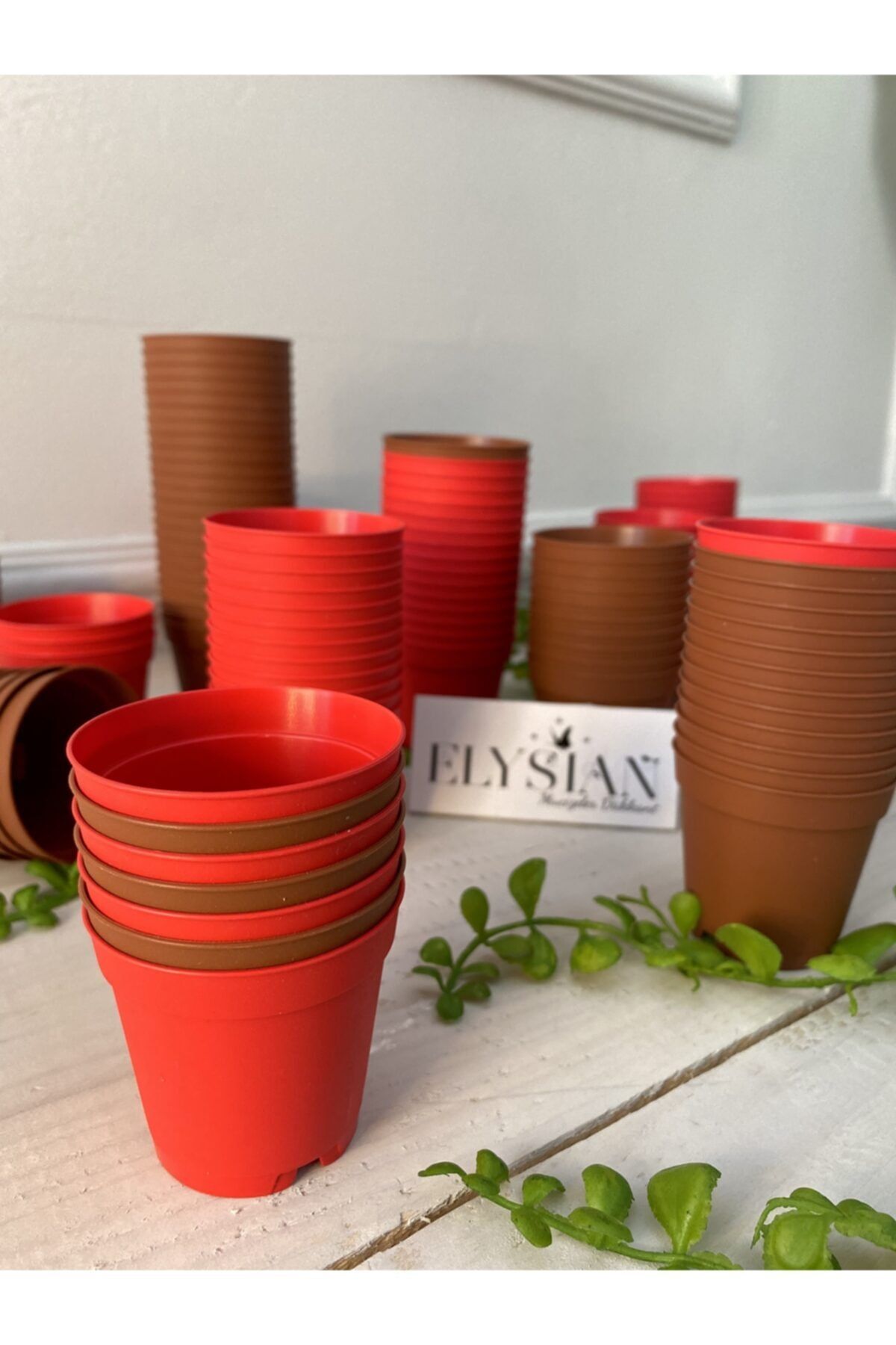 Elysian Üretim Saksı 30adet Kaktüs Sukulent Üretim Saksısı 5,5x5 Kahverengi Kırmızı Renkli Küçük Plastik