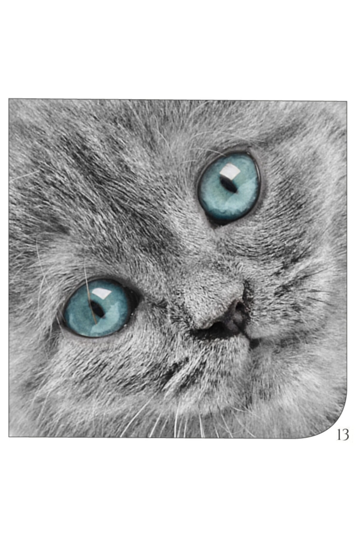 İstisna Mıknatıslı Köşe Kitap Ayracı Model 13