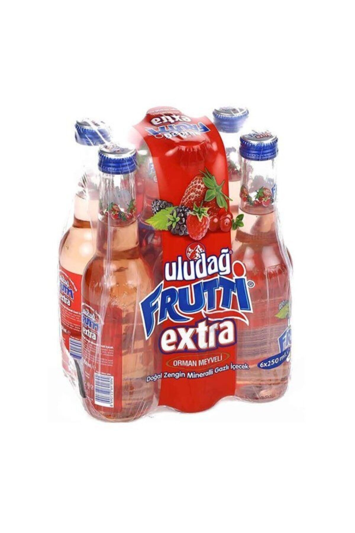 Uludağ Frutti Extra Orman Meyveli Şişe 6 lı 250 ml