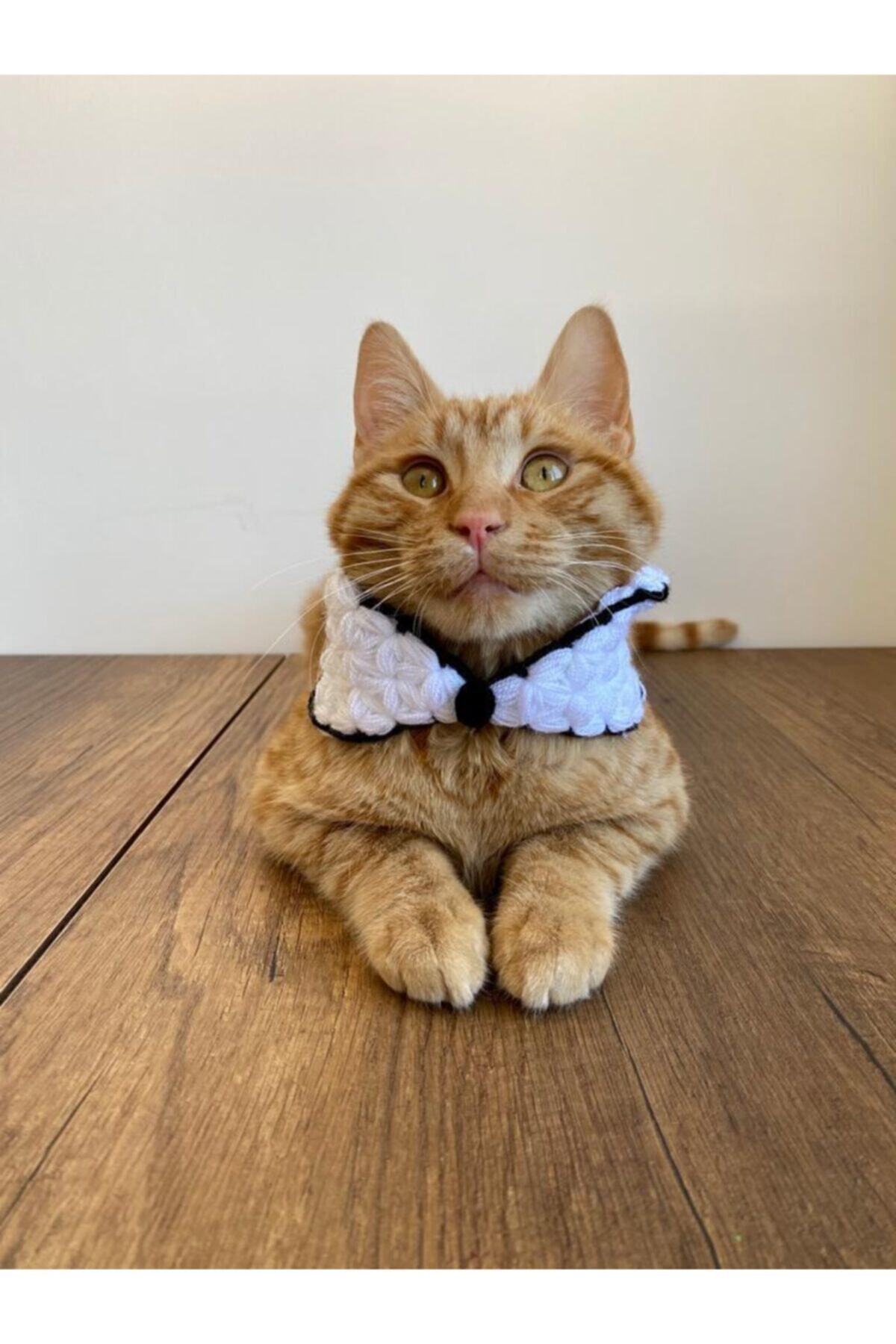 GÇM Papyonlu Kedi Boyun Tasması