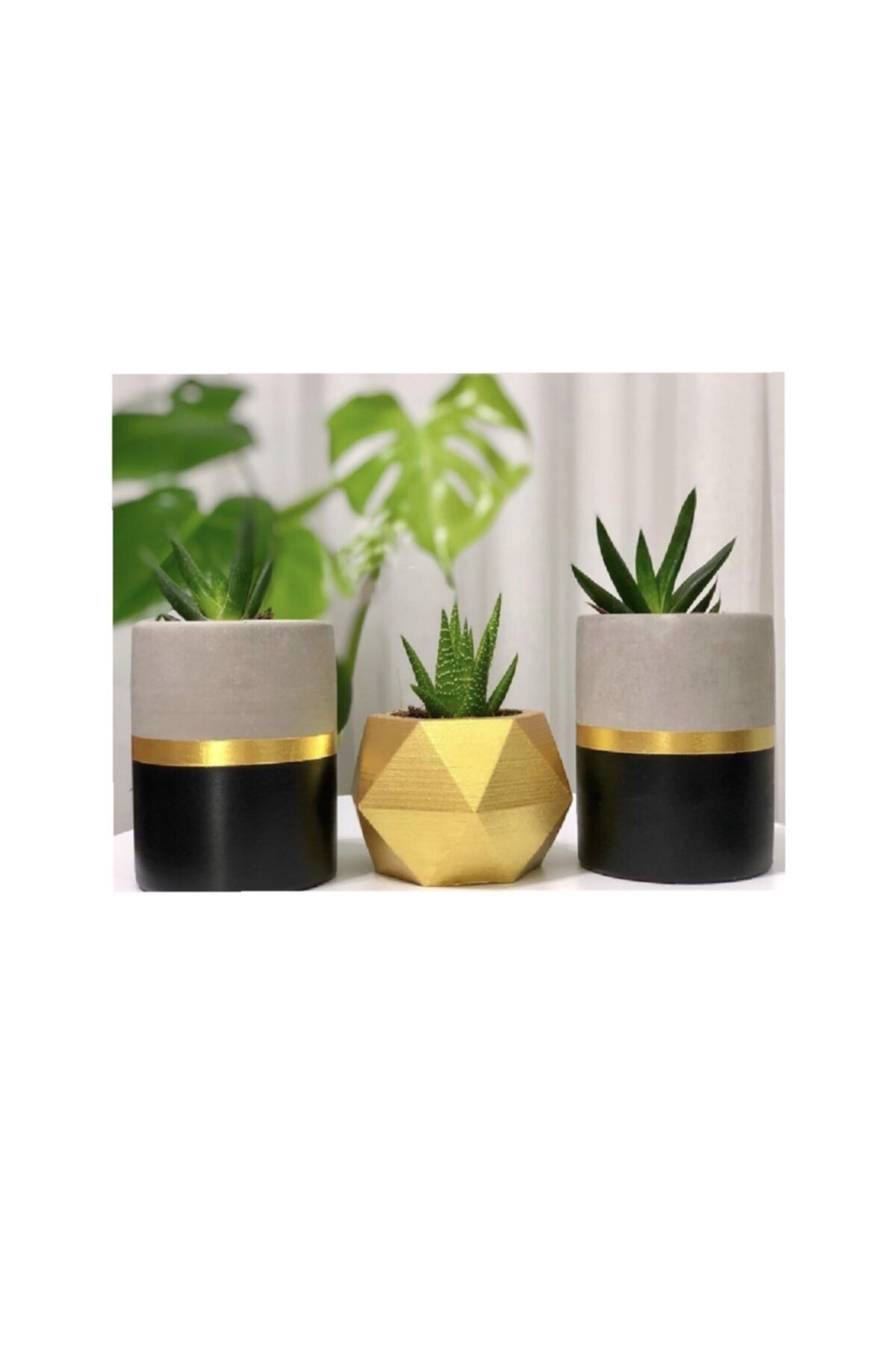 Orvila Siyah - Beton - Gold Silindir Geometrik Beton Saksı 3'li Set