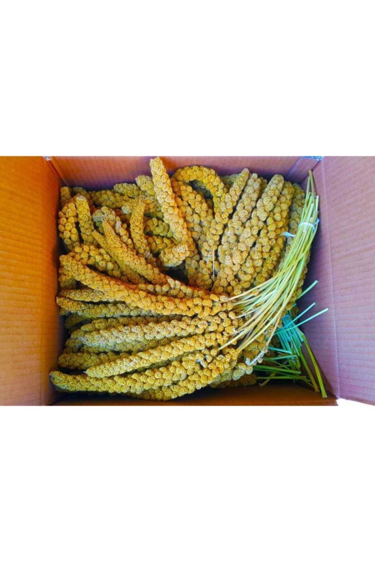 Quik Doğal Dal Darı Sarı 500 gr