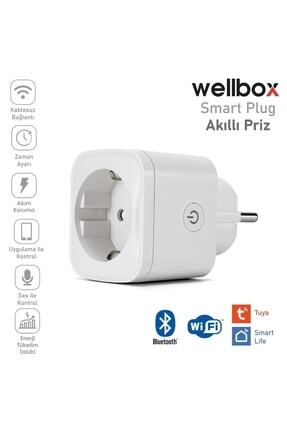 Wellbox Smart Plug / Priz 16a Akım Korumalı Wifi Priz Image 0