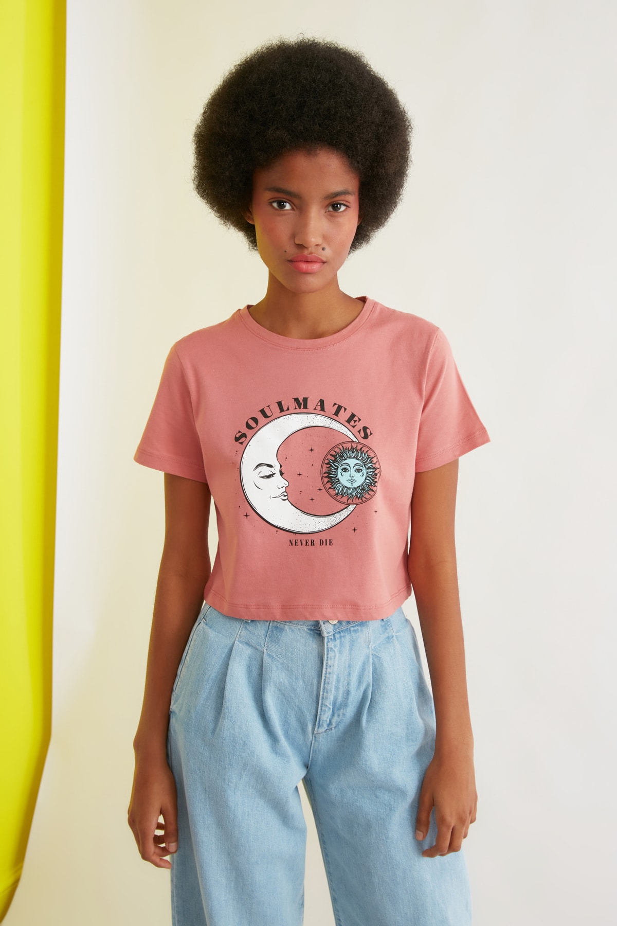TRENDYOLMİLLA Gül Kurusu Baskılı Crop Örme T-Shirt TWOSS21TS1030