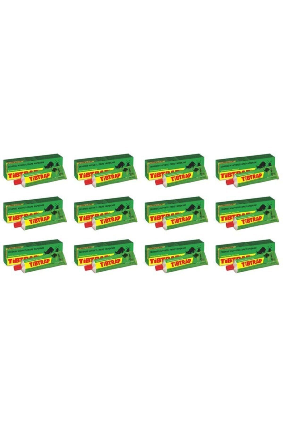 Tibtrap Zehırsiz Fare Yapışkan Tüp 125ml 12'li