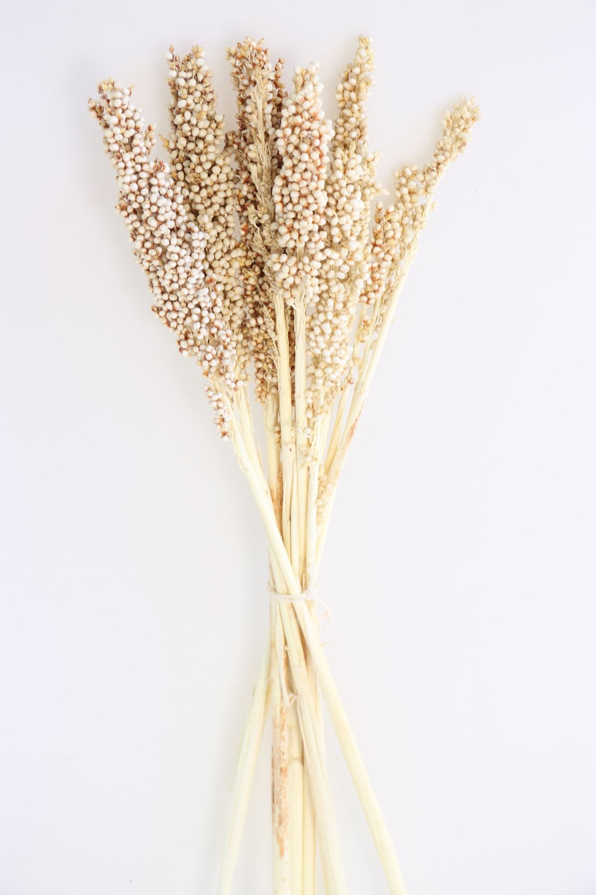 Yapay Çiçek Deposu Kuru Çiçek Sorghum Otu 55 Cm Krem