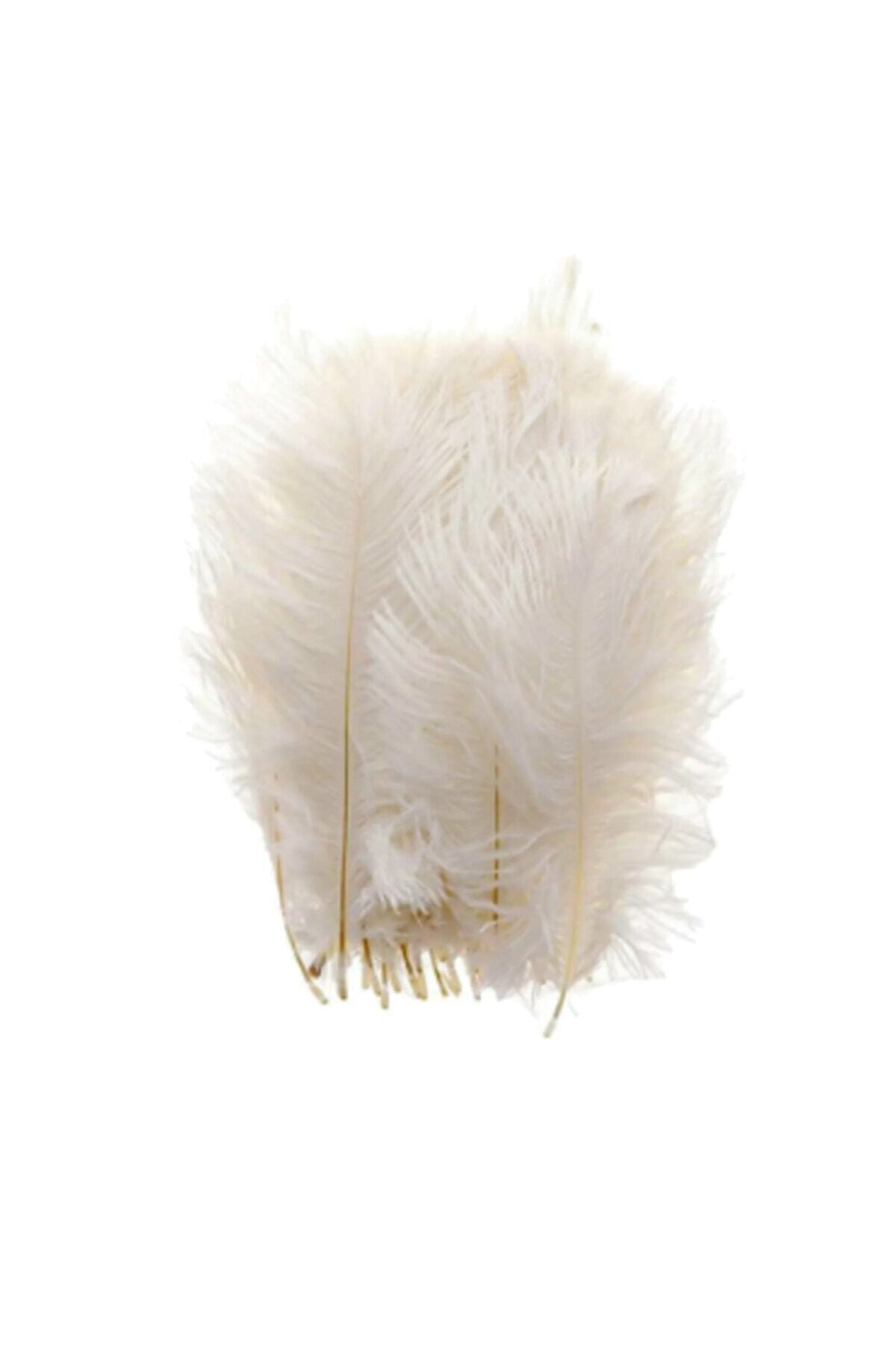 Alshop Kuş Tüyü Krem Balon Tüyü 100 Adet