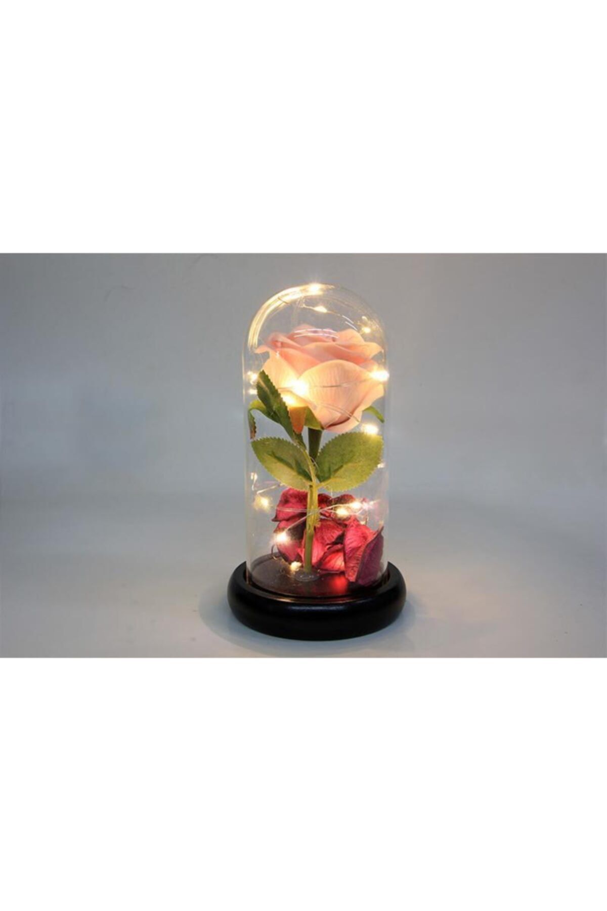ozgurpazar Fanus Çiçek 19/10cm Cam Fanus Hediyelik Led Işıklı