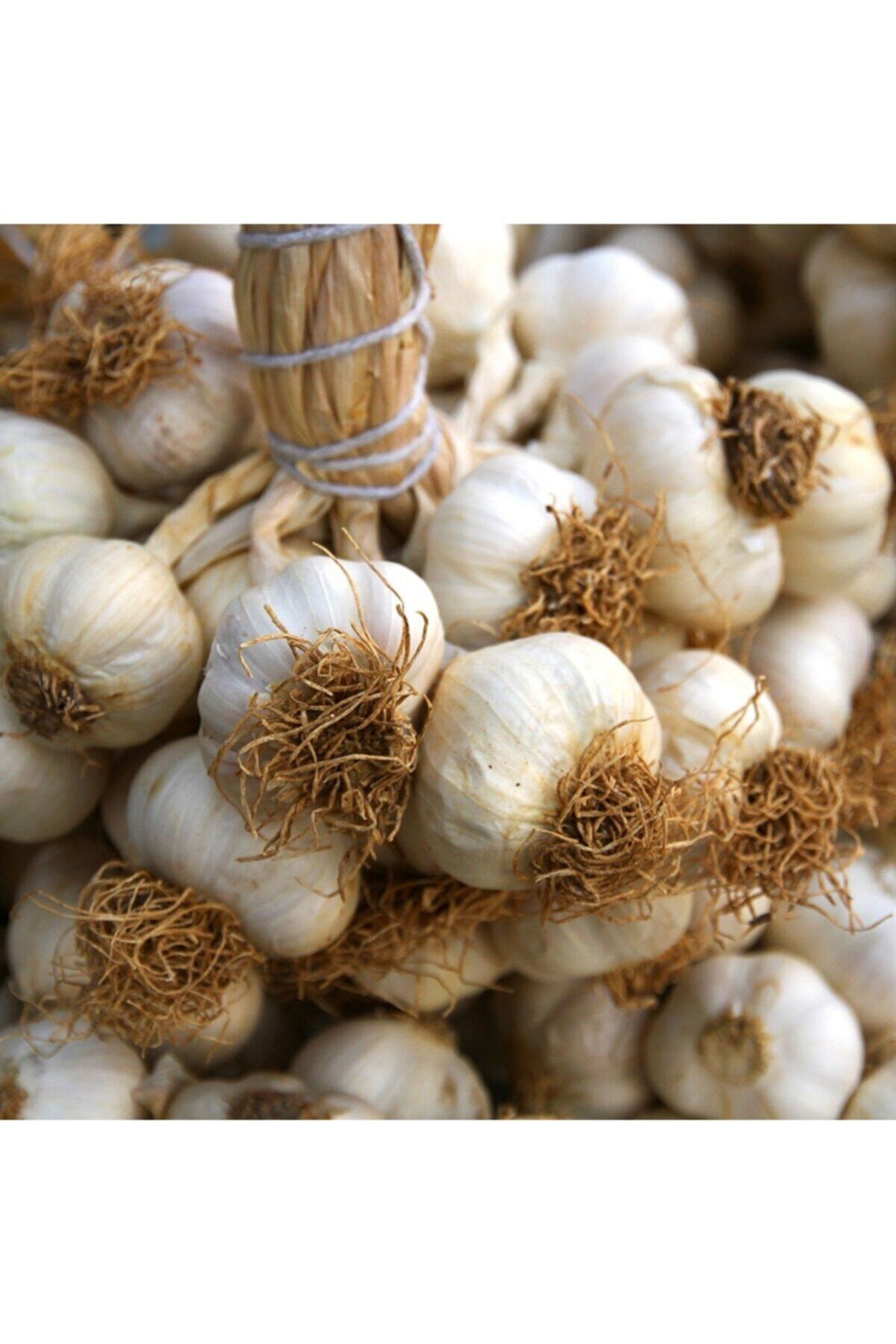 POYRAZ Taşköprü Sarımsağı 1000 gr