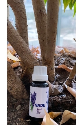 Saç Uzaması Saça Parlaklık Verip Kepeklenmeyi Önlemeye Yardımcı Doğal Lavanta Yağı 20 Ml Image 0