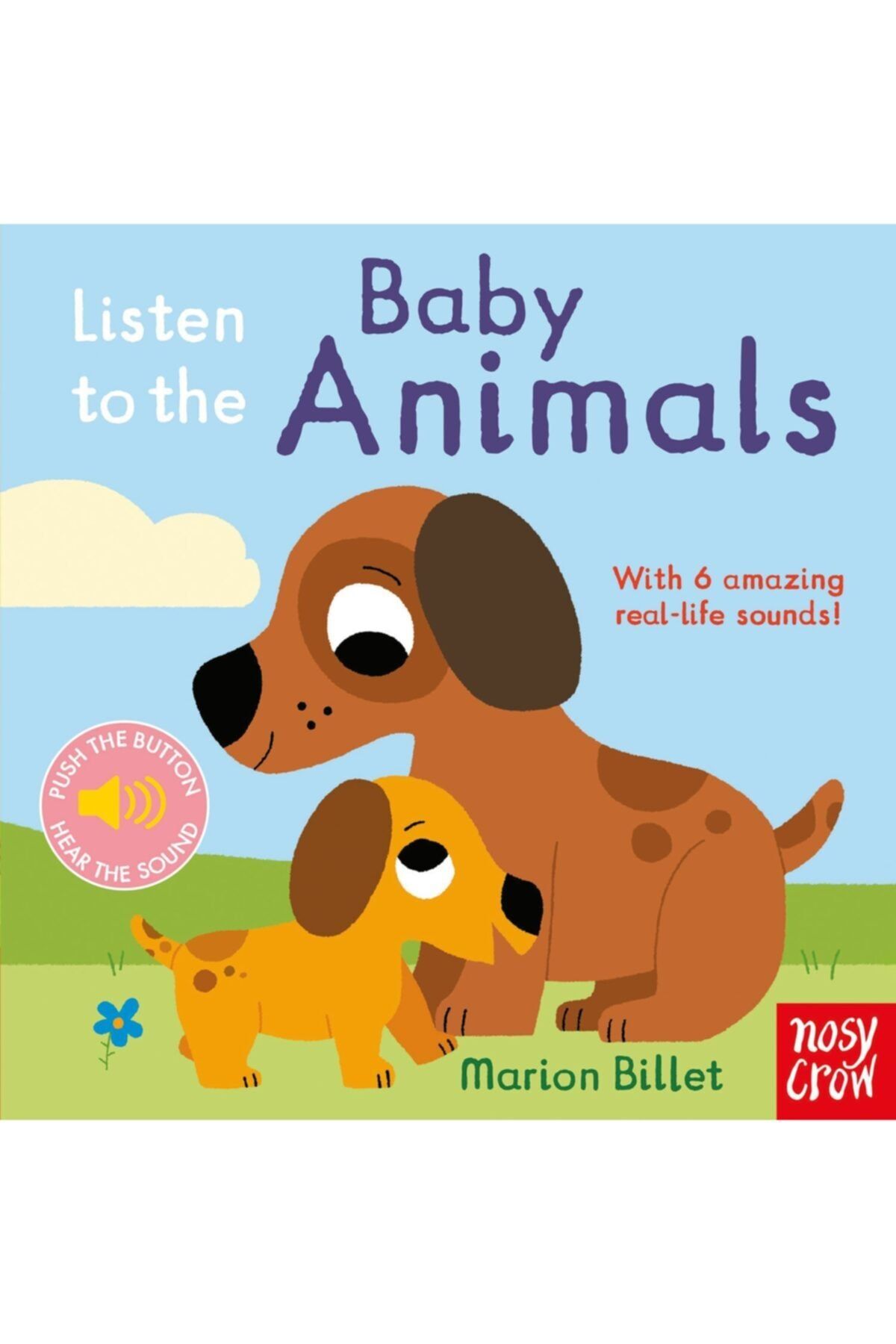 Nosy Crow Listen To The Baby Animals-turtle Kids