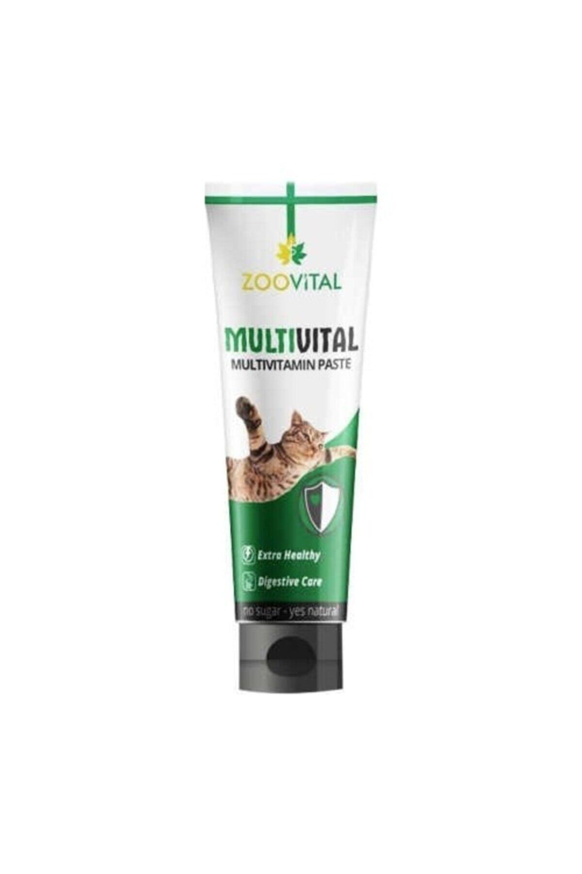 Zoovital 2 Adet Multi Vitamin Paste Kedi Vitamini Macunu 100 Gr