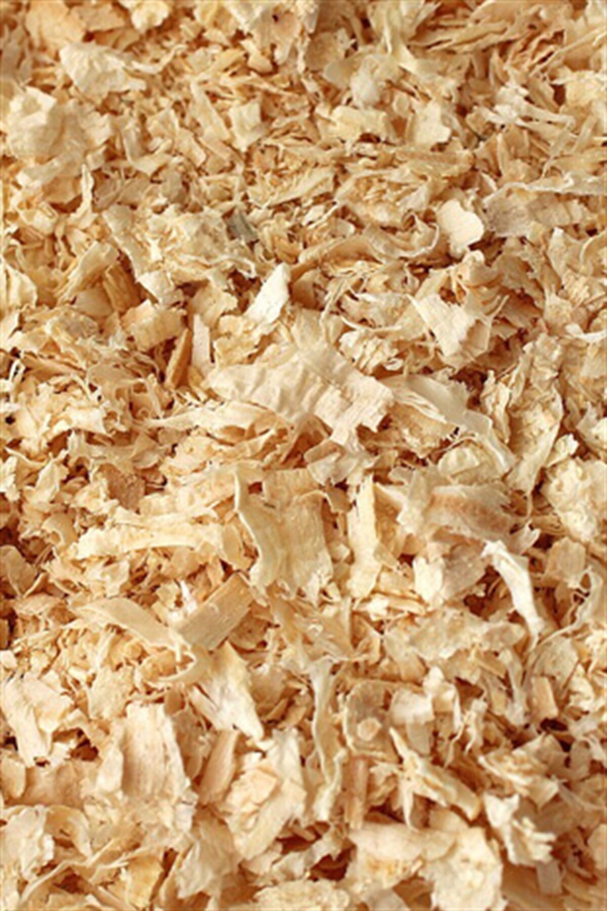 Akgün Tarım Kemirgen Talaşı 1 Kg