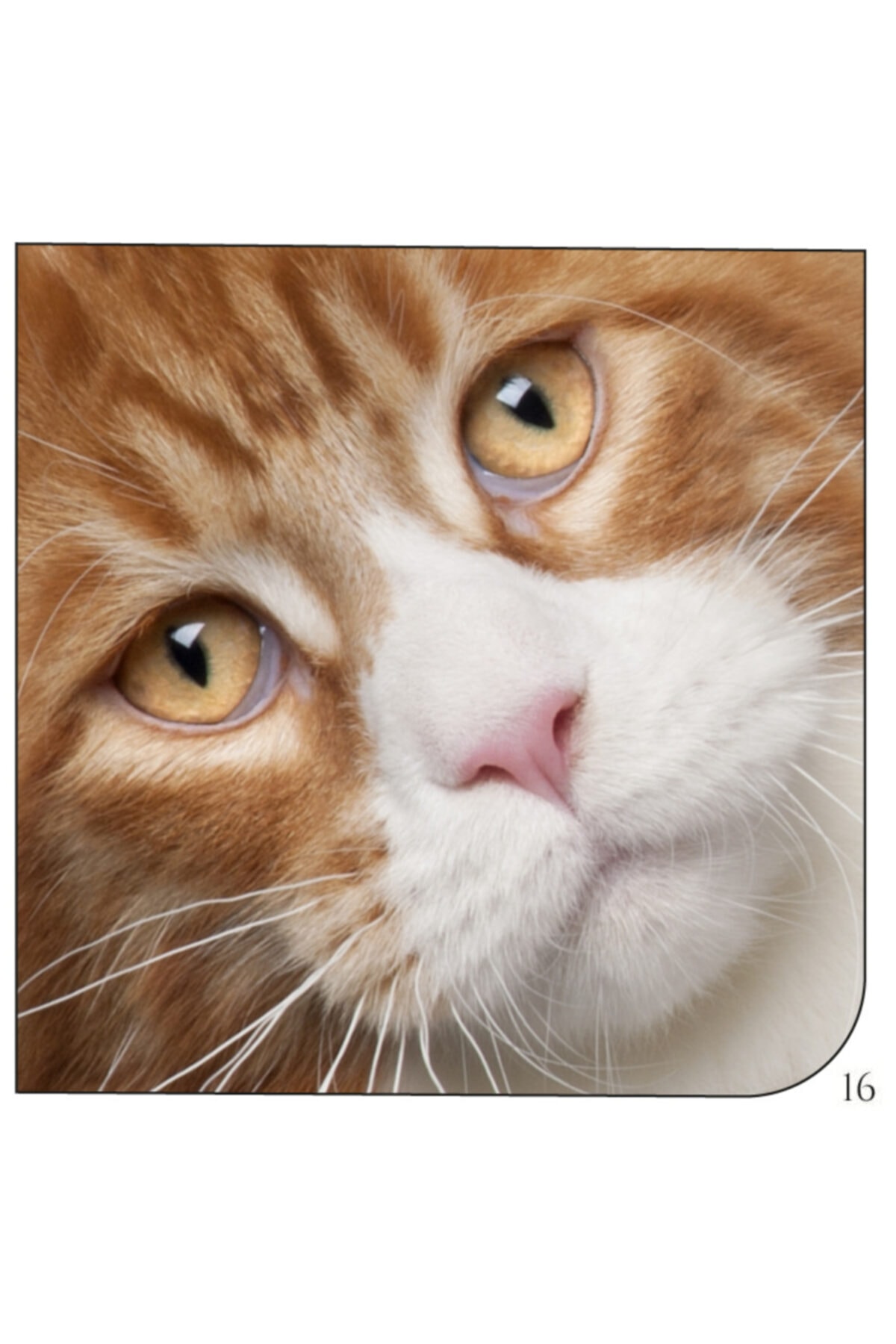 İstisna Mıknatıslı Köşe Kitap Ayracı Model 16