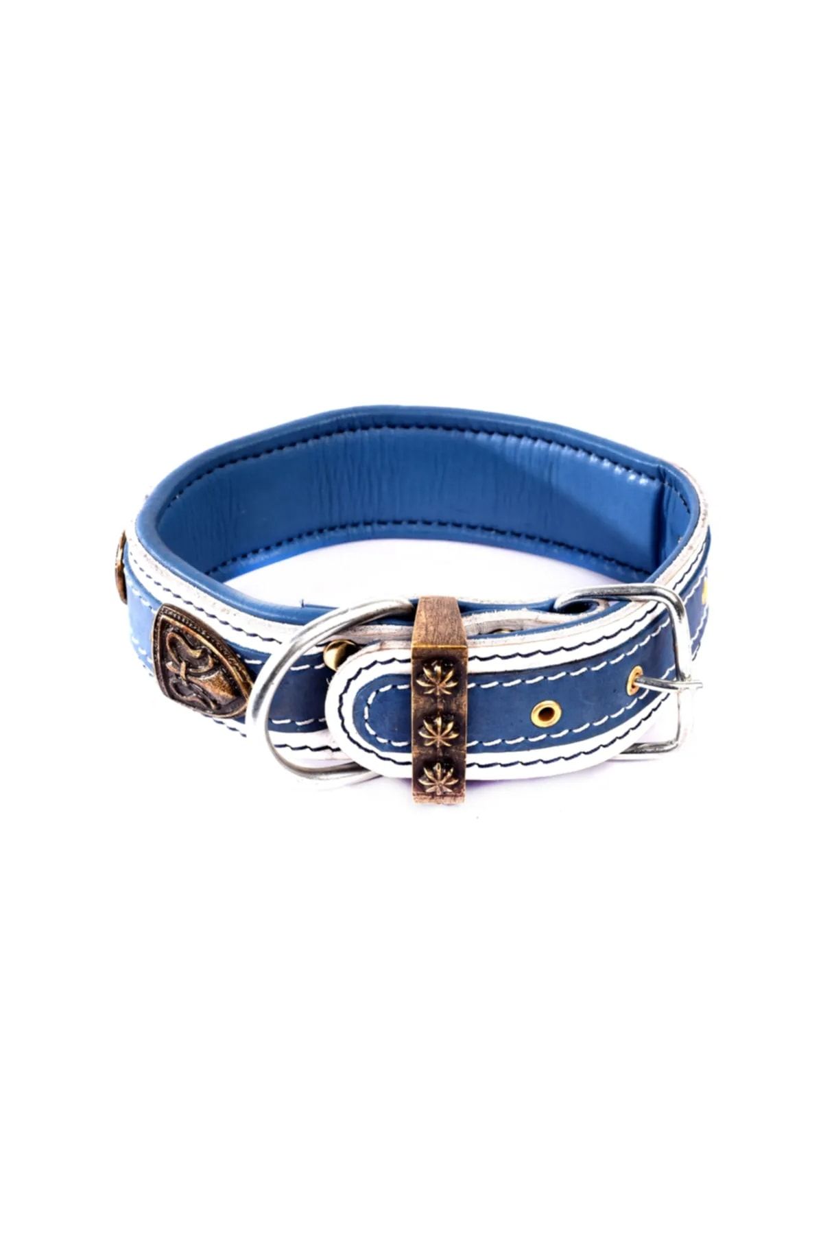MgTasma Dog Collars - Blue - Neck Collar - Trendyol