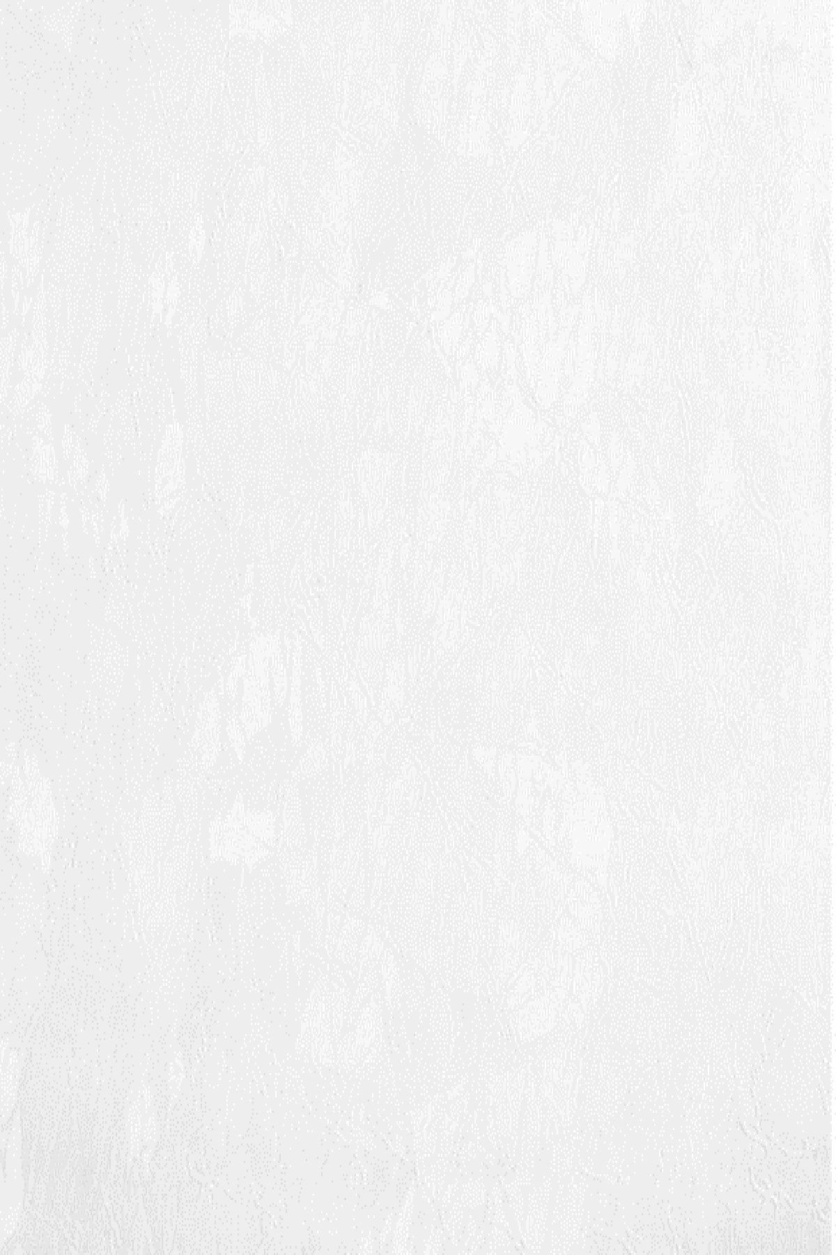 EXCLUSIVE 301-1 Kendinden Desenli Duvar Kağıdı (5 M²) Alan Kaplamaktadır