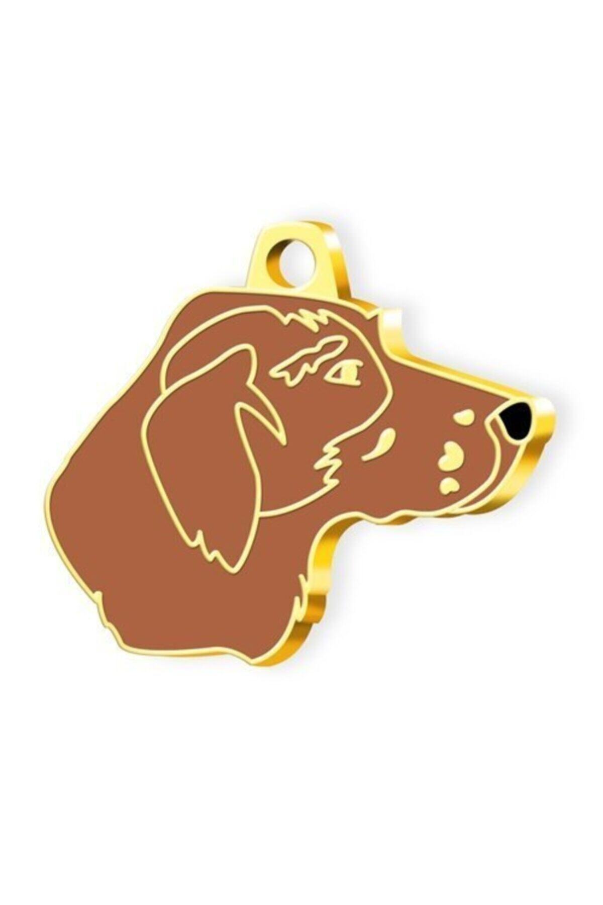 See Me Altın Kaplama Pointer Köpek Künyesi Kahverengi