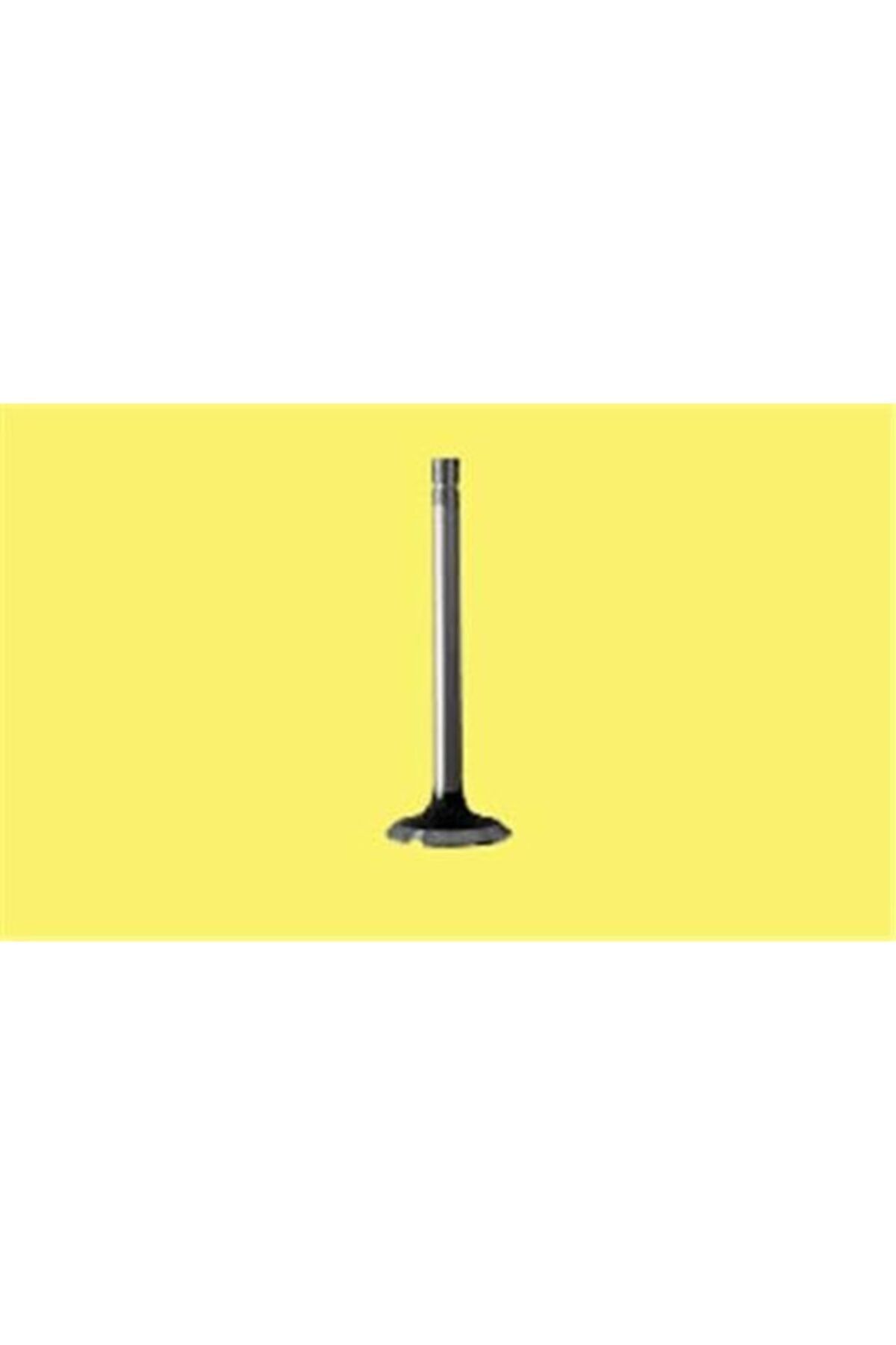 Güneş Subap Takımı Emme / Egsoz C3 P1007 P207 P307 C4 Et3j4 (1,4ı 16v)