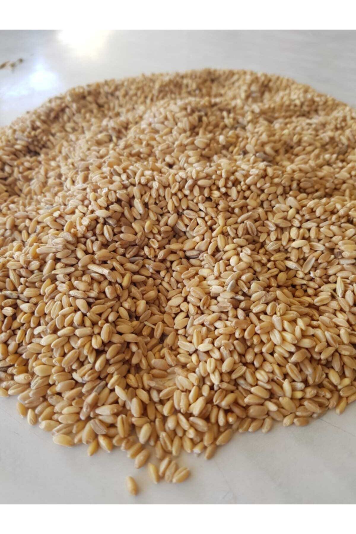 Özlem Buğday 5 Kg
