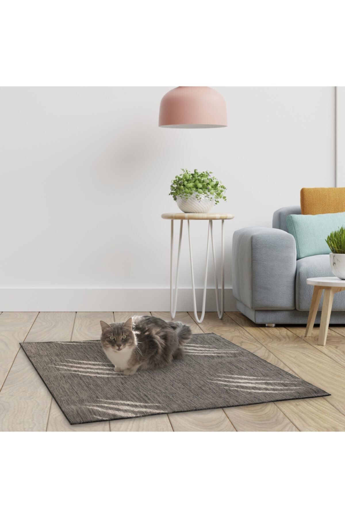 Wodoti Yeni Nesil Kedi Tırmalama Materyali Kedi Halısı Siyah 90x90