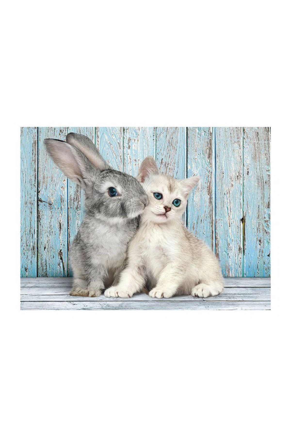 CLEMENTONI Clementoni 35004 500 Parça Tavşan Ve Kedi Puzzle /