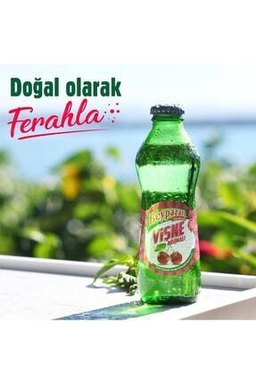 Doğal Maden Suyu Vişne Aromalı 200 Ml 24 Lü Image 0