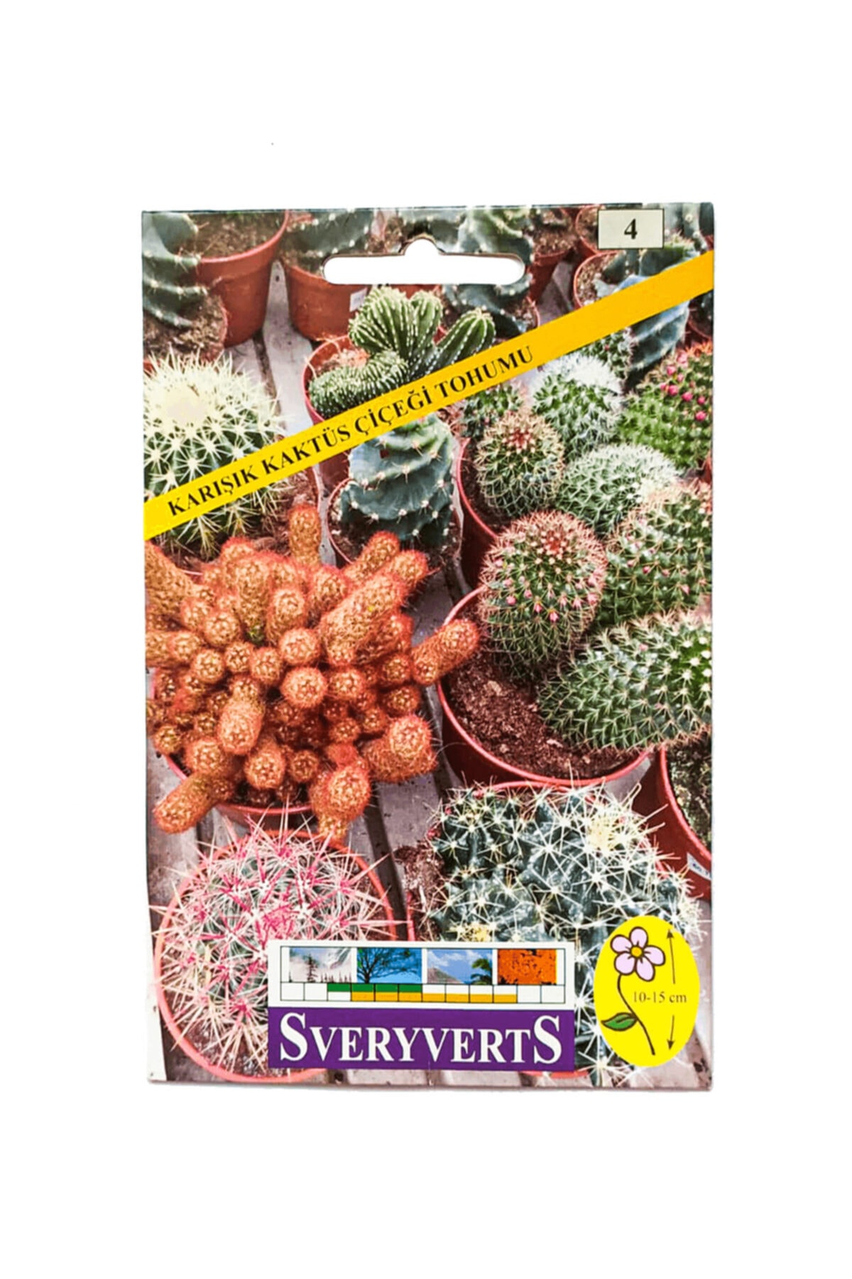 Birtaş Tohumculuk Karışık Sukulent Kaktüs Çiçeği Tohumu