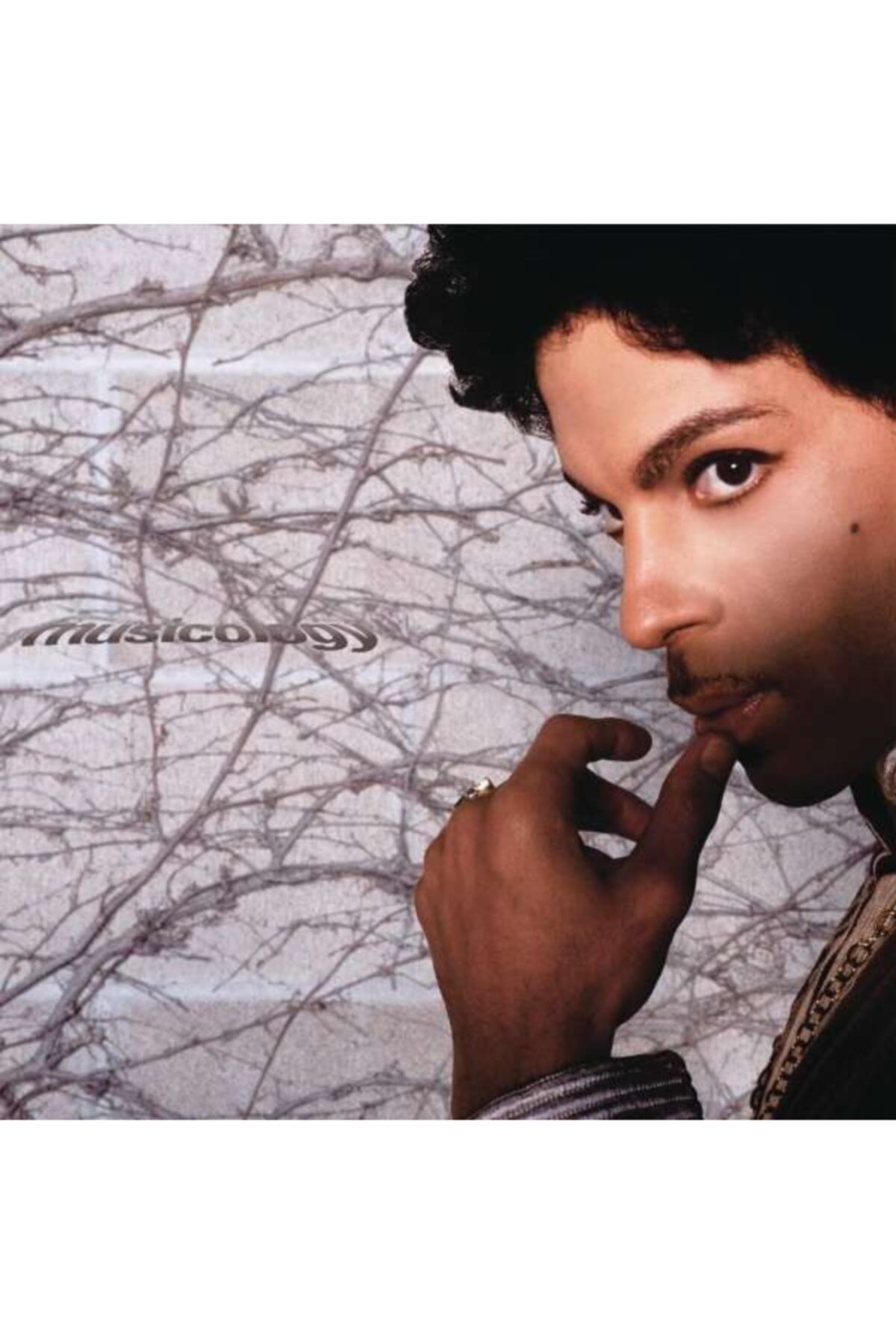 TUNA MÜZİK Lp - Prınce\\musıcology 2 Lp