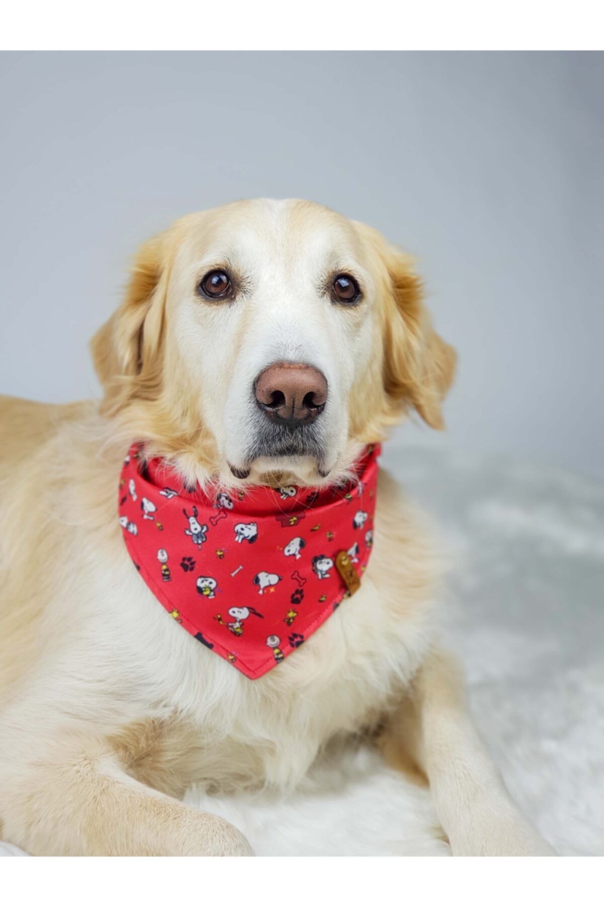 Zegypet Snoopy Köpek Bandana