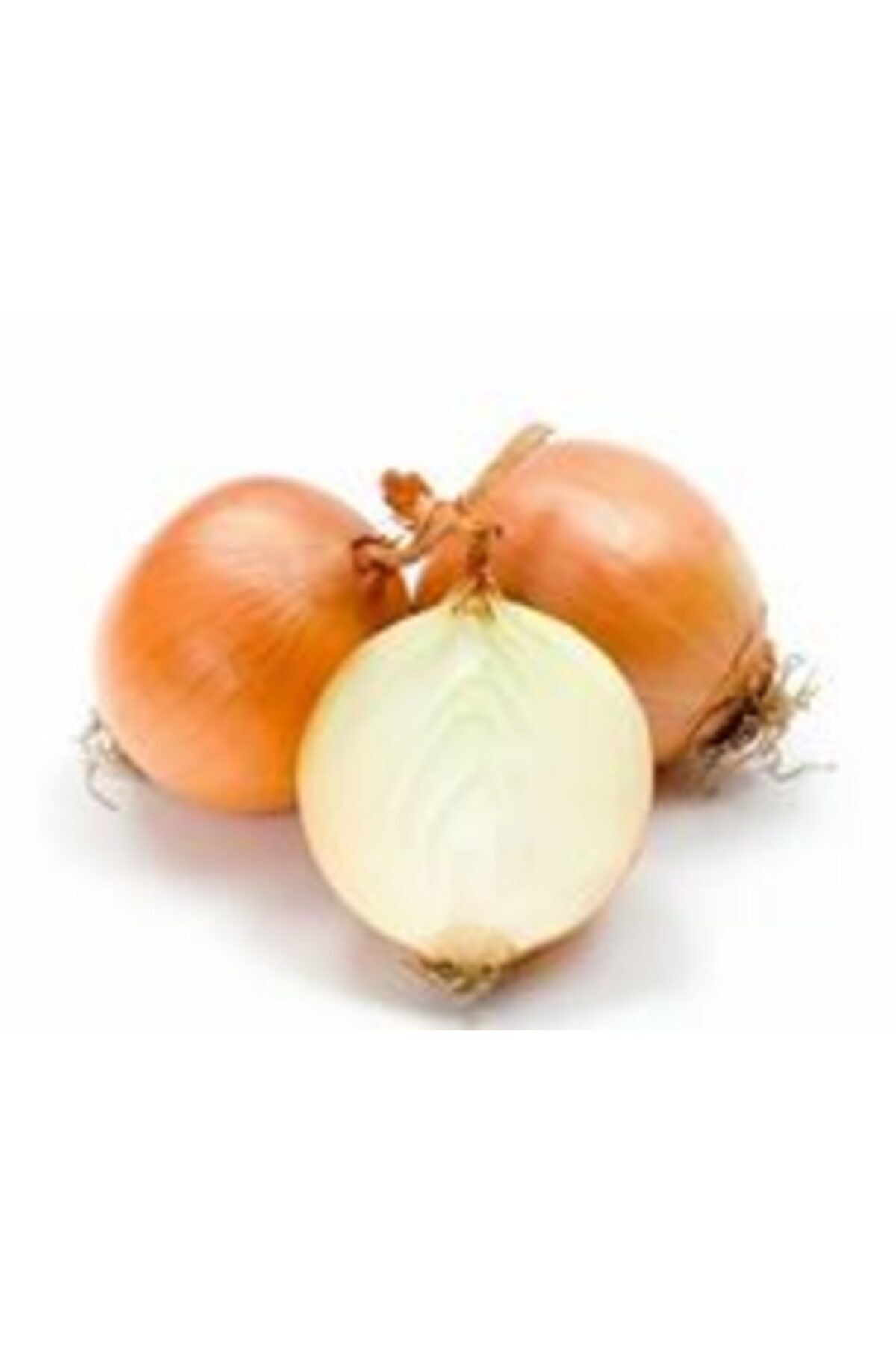 amasya Büyük Boy Kuru Soğan 5 Kg