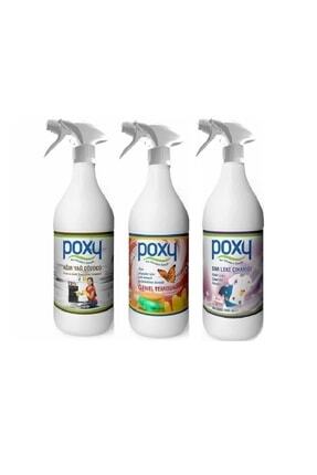 Sıvı Leke Çıkarıcı + Genel Temizlik + Ağır Yağ Çözücü 1000 Ml Image 0