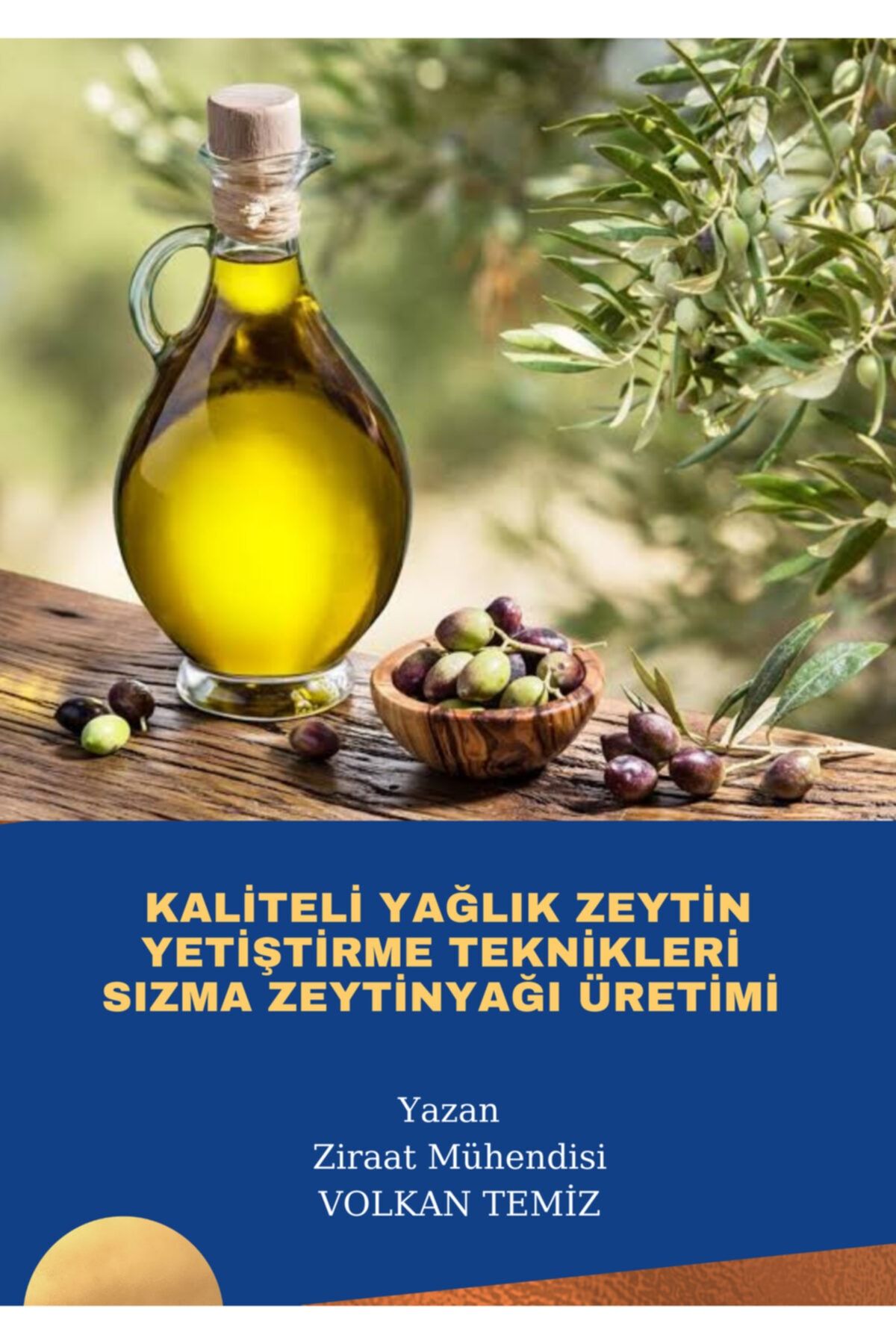 032C Kavun Ve Karpuz Da Yabancı Otlar İçin Hangi İlaç Kullanılır  Eğitim Programı E Book