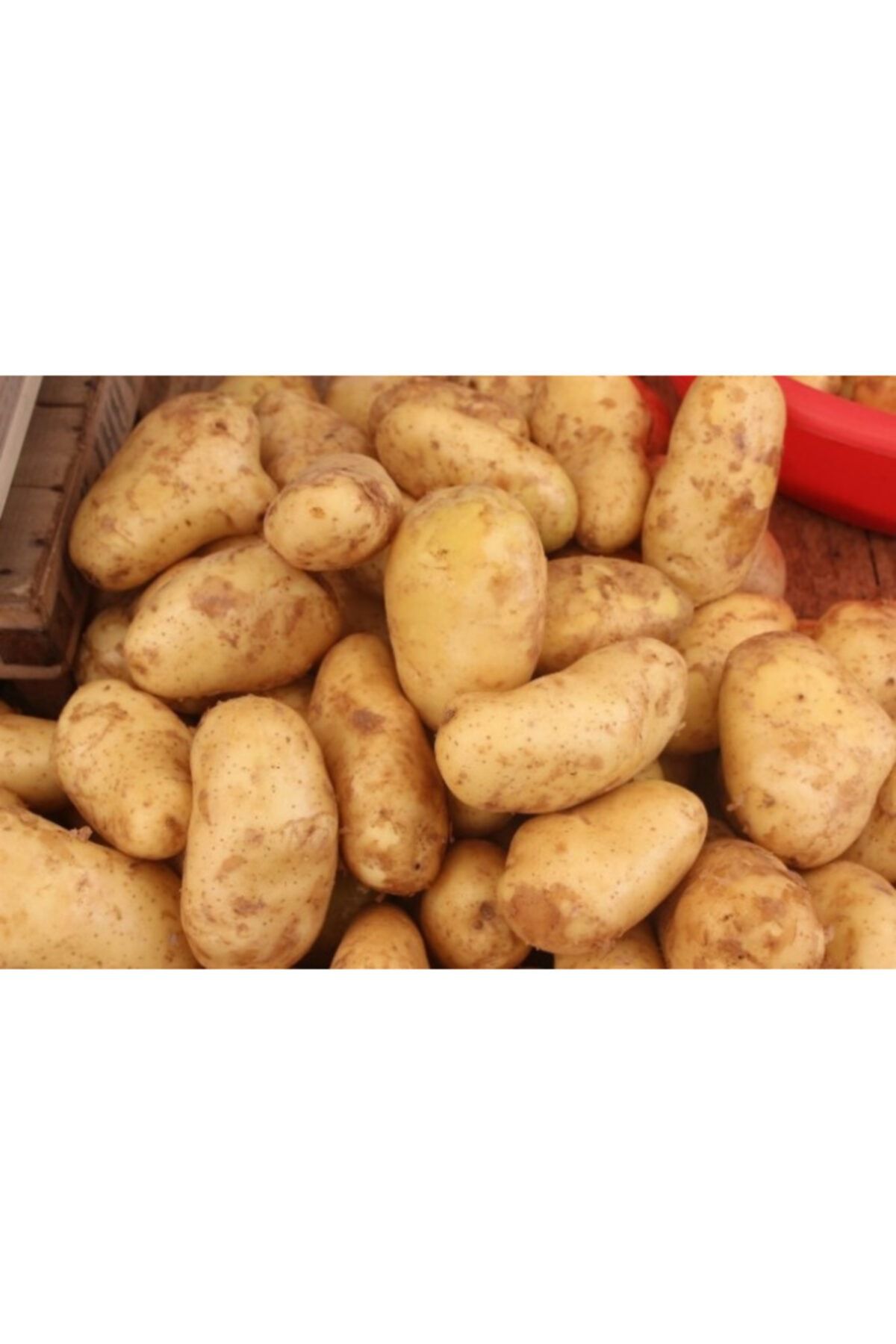 afyon jeli kizartmalik yemeklik patates 1 kg fiyati yorumlari trendyol