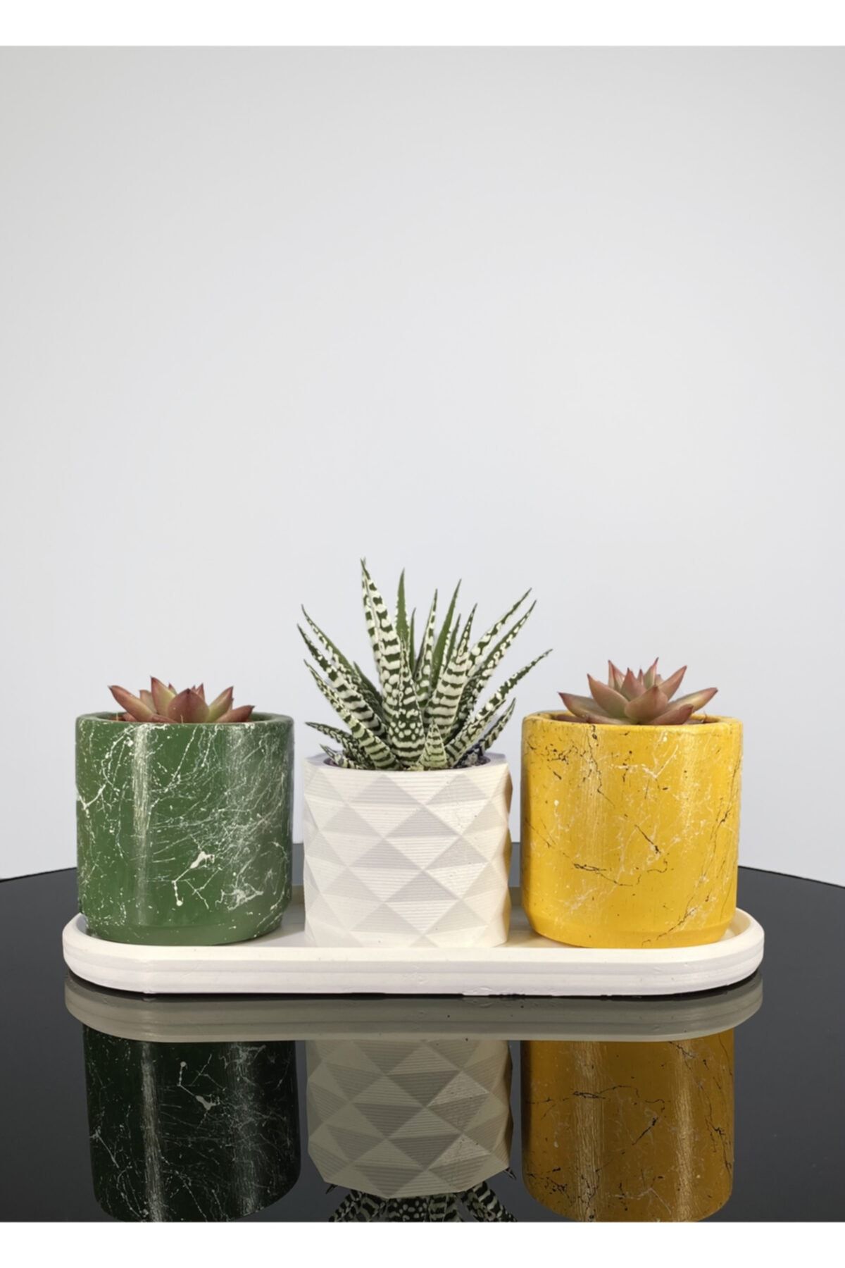 BİÇİÇEK Minimalist Sukulent 3'lü Set
