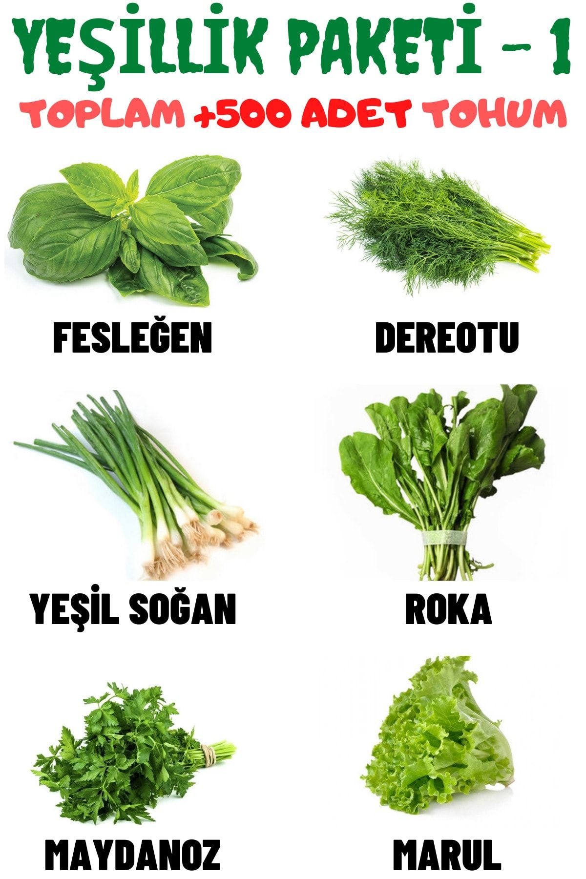 Tohum Seç Yeşillik Paketi-1 Fesleğen, Dereotu, Soğan, Roka, Maydanoz, Marul Tohum Seti, Toplam +500 Adet Tohum