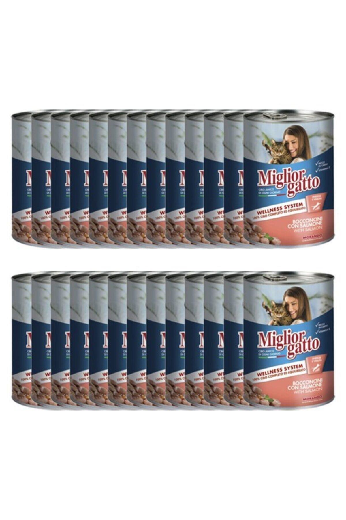 Miglior Gatto Somonlu Konserve Kedi Maması 405 Gr X 24 Adet