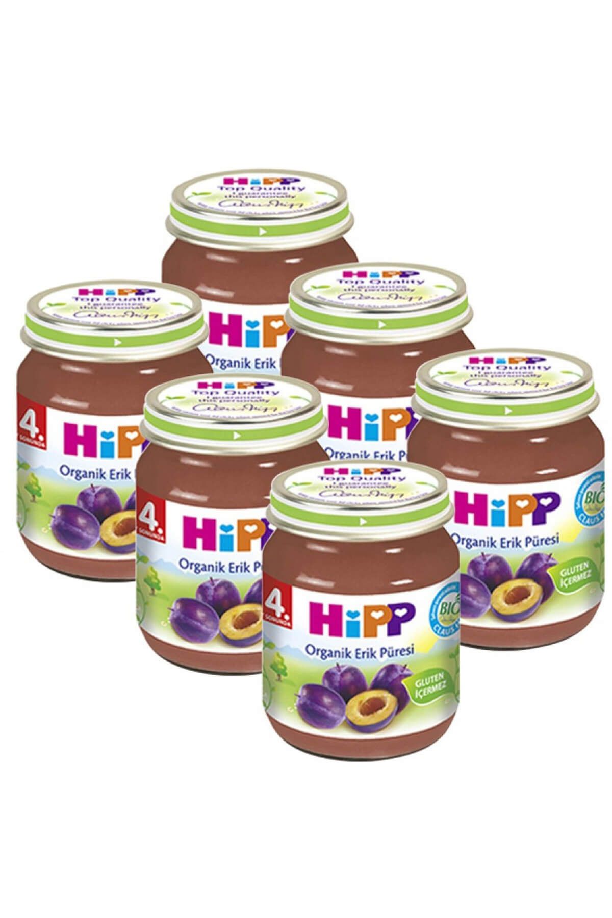 Hipp Organik Erik Püresi 125 Gr 6'lı