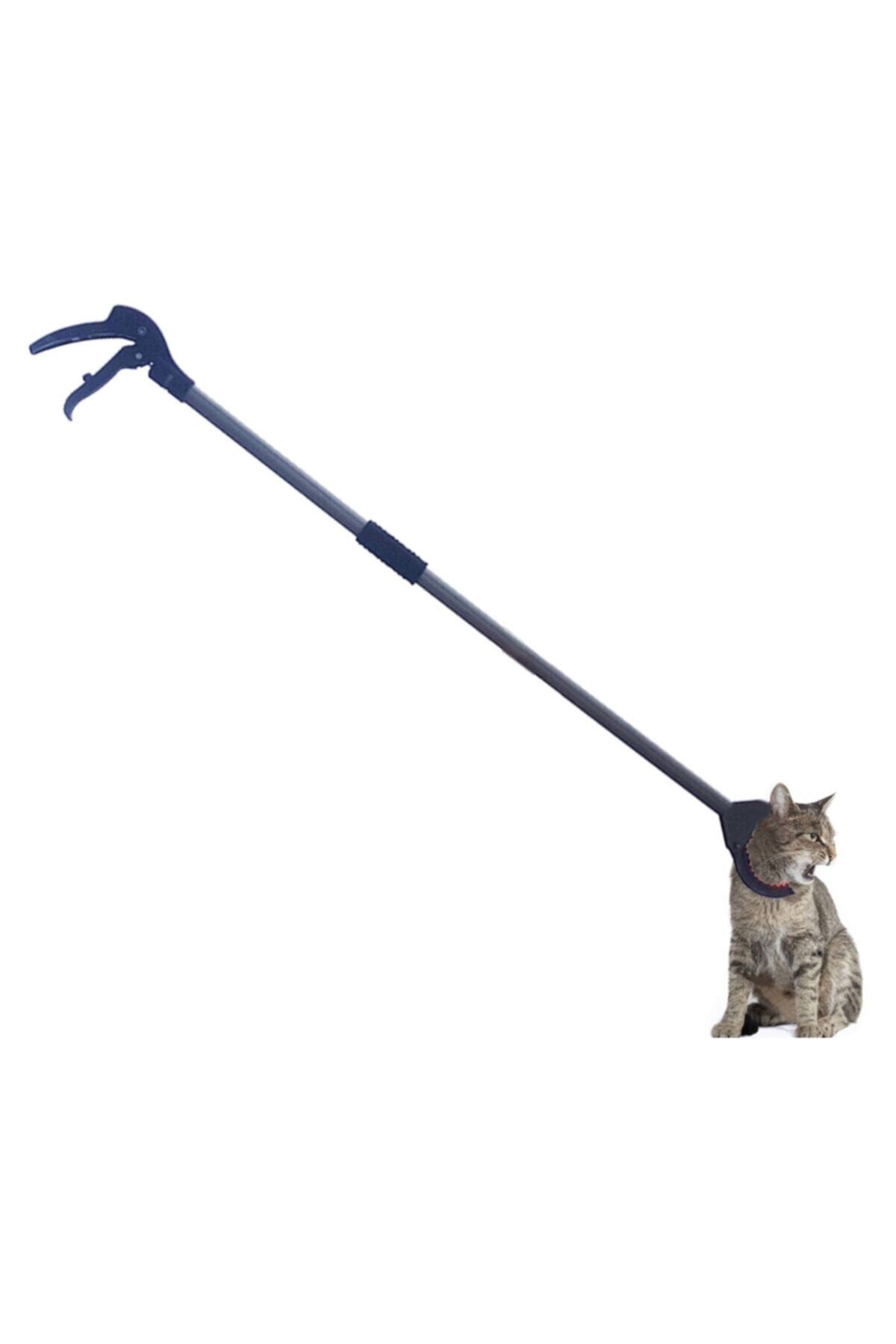 Farmena Kedi Yakalama Kıskacı
