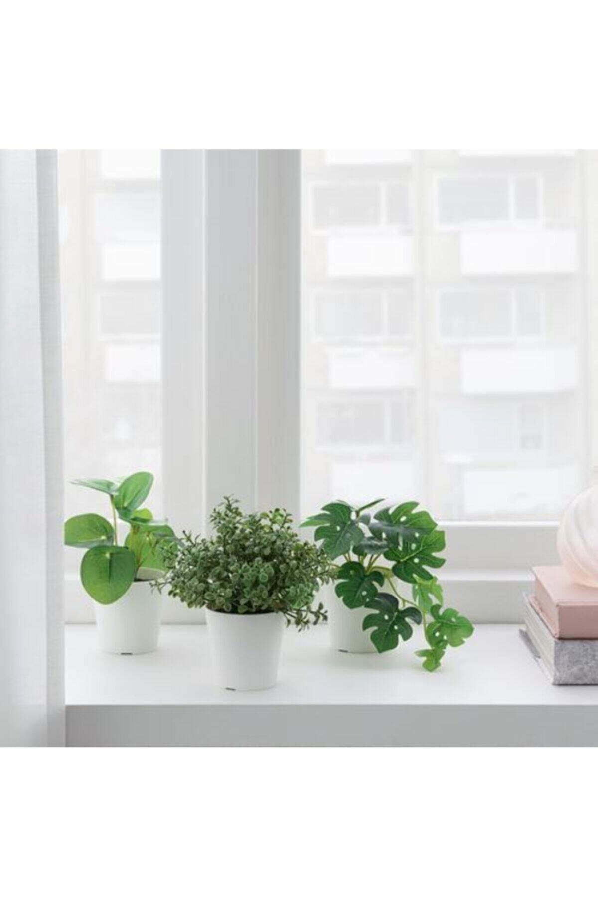 gunesihome ikea saksili fejka yapay cicek 3 lu fiyati yorumlari trendyol