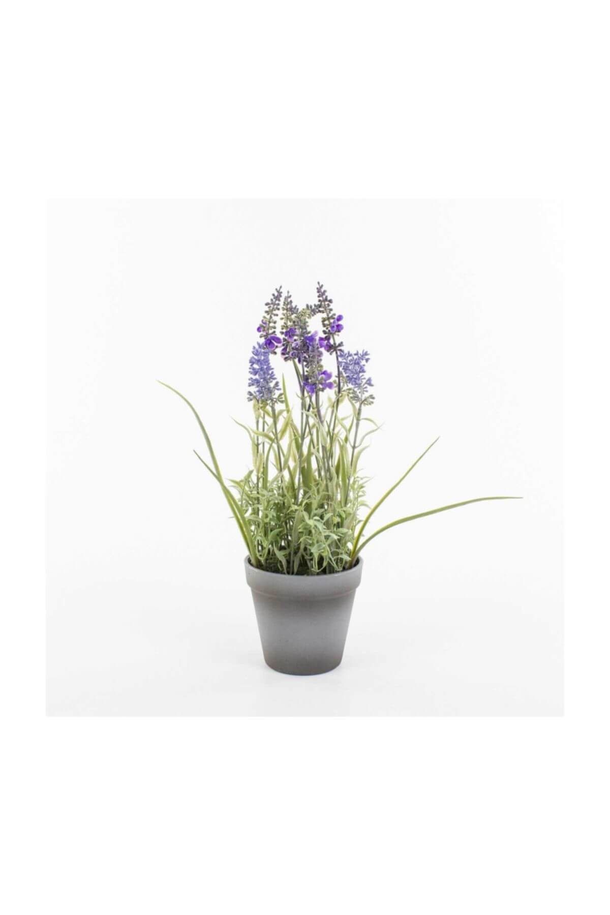 euro flora saksida yapay cicek lavanta 32 cm fiyati yorumlari trendyol