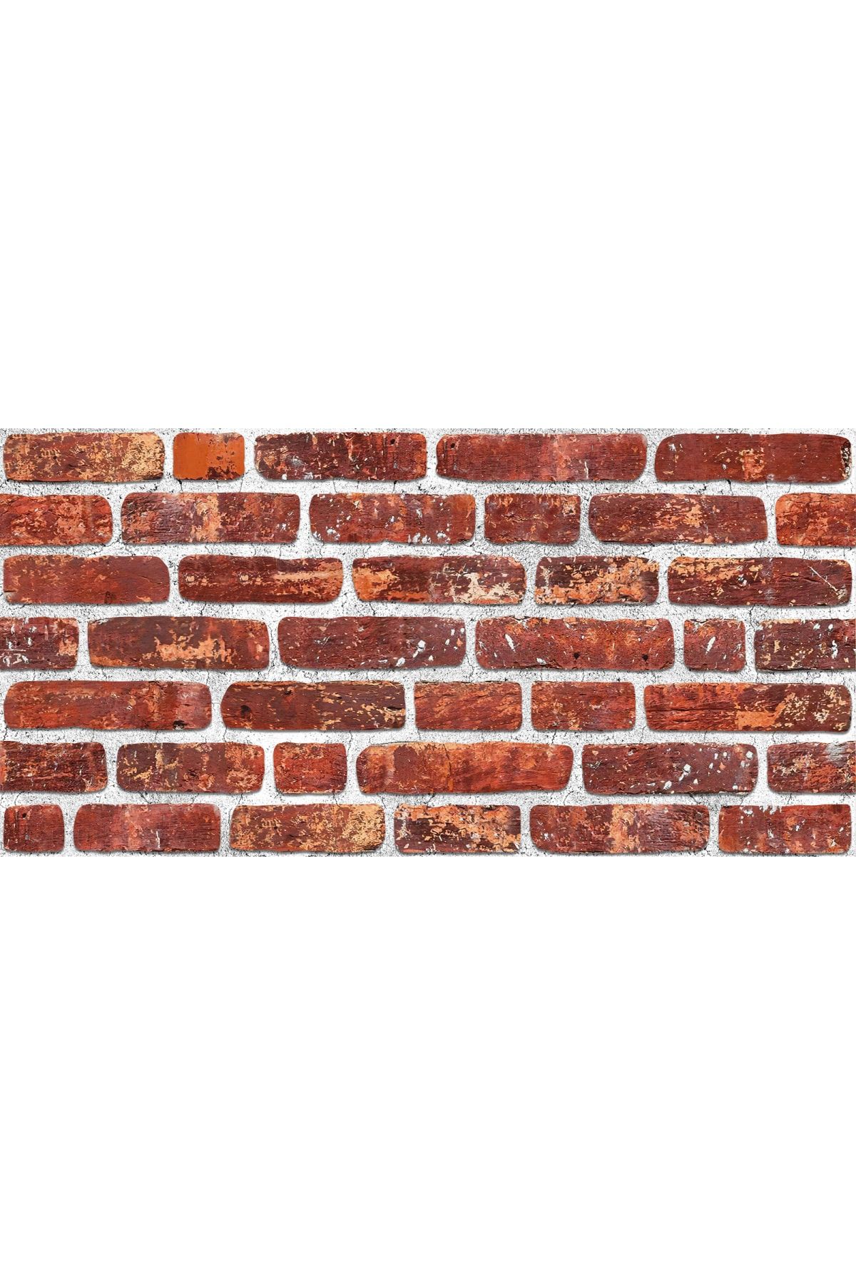 THERMOSİDİNG 3d Barok Desen Strafor Köpük Duvar Kaplama Paneli 10 Adet (B013) (50X100X2CM)