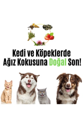 %100 Doğal Aktif Bileşenli Kedi Köpek Diş Macunu + 1 Adet Pembe Kapaklı Parmak Fırça Image 1