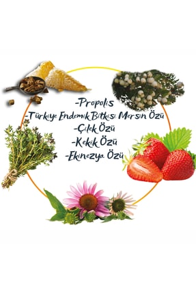 %100 Doğal Aktif Bileşenli Kedi Köpek Diş Macunu + 1 Adet Pembe Kapaklı Parmak Fırça Image 2