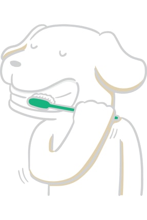 %100 Doğal Aktif Bileşenli Kedi Köpek Diş Macunu + 1 Adet Pembe Kapaklı Parmak Fırça Image 6