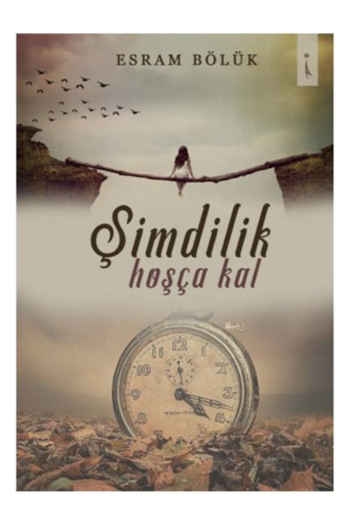 İkinci Adam Yayınları Şimdilik Hoşça Kal