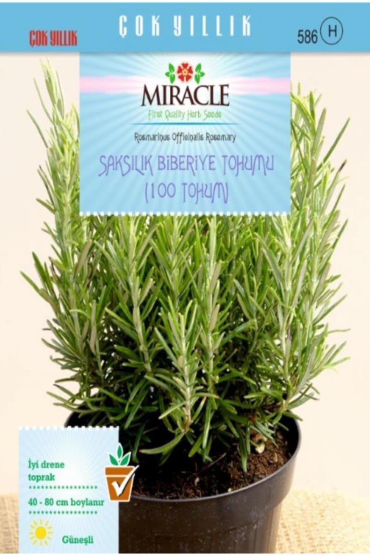 Miracle Tohum Miracle Saksılık Biberiye Tohumu (100 Tohum)